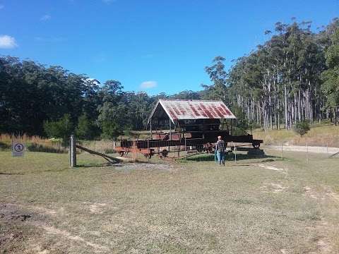 Photo: Bellthorpe Conservation Park